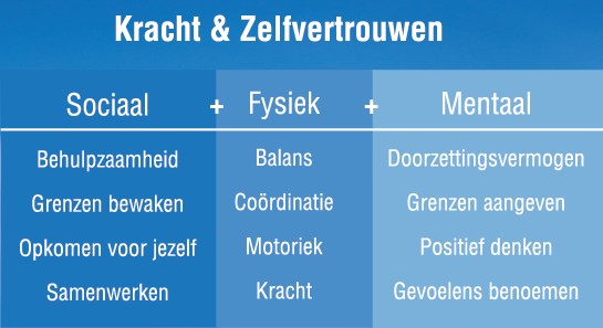 Schema van diverse Sociale Vaardigheden